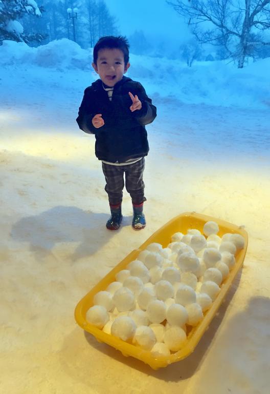 Отель Snowball Chalet At Madarao Mountain Iiyama Экстерьер фото