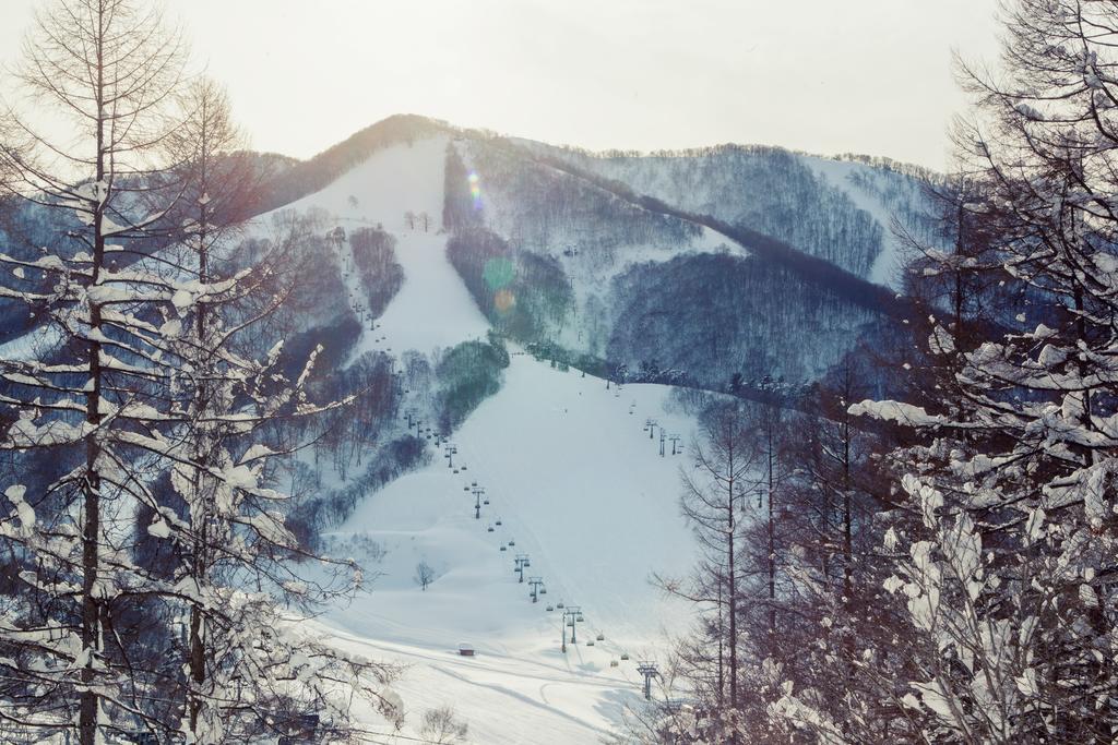 Отель Snowball Chalet At Madarao Mountain Iiyama Экстерьер фото