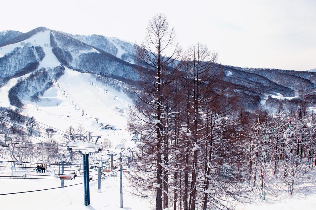 Отель Snowball Chalet At Madarao Mountain Iiyama Экстерьер фото